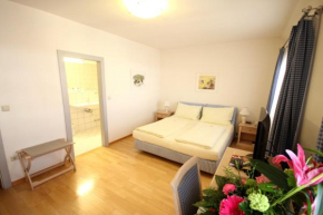 Отель Carinthia Stadthotel  Клагенфурт
